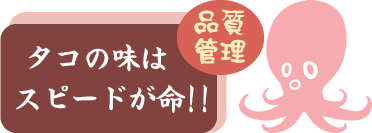 鮮度抜群の美味しいタコを北海道白糠町より新鮮直送でお届けします！